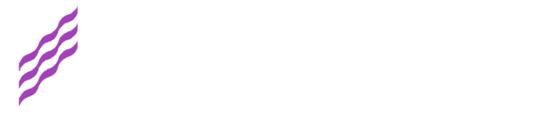 Niemi Energy Oy